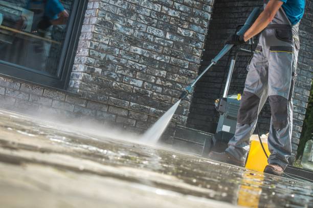 Best Graffiti Removal  in Geneva, AL